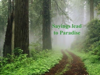 Sayings lead to Paradise 