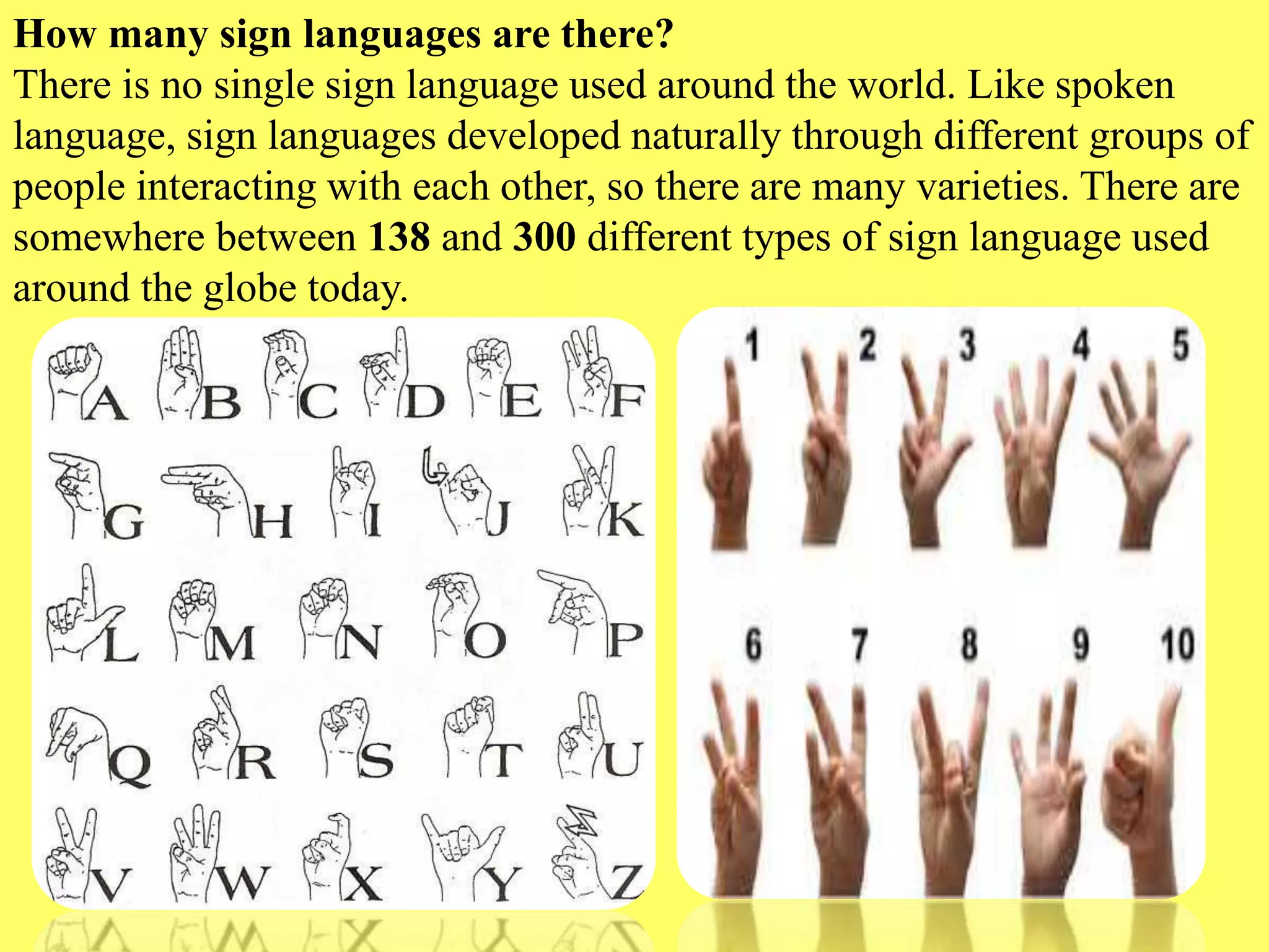 Slide 10