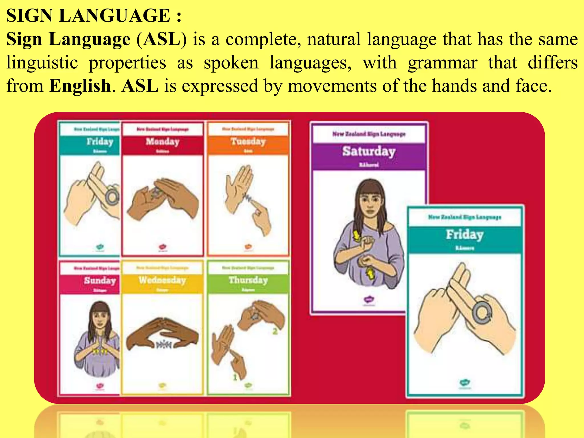 Slide 8