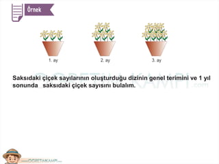 Saksıdaki çiçek sayılarının oluşturduğu dizinin genel terimini ve 1 yıl
sonunda saksıdaki çiçek sayısını bulalım.
 