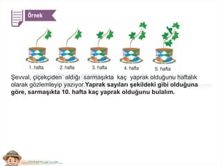 Şevval, çiçekçiden aldığı sarmaşıkta kaç yaprak olduğunu haftalık
olarak gözlemleyip yazıyor.Yaprak sayıları şekildeki gibi olduğuna
göre, sarmaşıkta 10. hafta kaç yaprak olduğunu bulalım.
 
