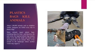 PLASTICS
BAGS KILL
ANIMALS
About 1,00,000 animals such as dolphins
,turtles ,penguins are killed every due to
plastic bags.
Many animals ingest plastic bags,
mistaking them for food , and therefore die
and worse, the ingested plastic bag remains
intact even after the death and death and
decomposition of the animal. Thus, it lies
around in the landscape where another
victim may ingest it.
 