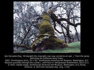 Ken Gonzales-Day, "At daylight the miserable man was carried to an oak…," from the series
Searching for California Hang Trees.
2007. Chromogenic print, 35 × 45". Smithsonian American Art Museum, Washington, D.C.
Museum purchase through the Luisita L. and Franz H. Denghausen Endowment, 2012.12.1.
© 2015. Digital image, Smithsonian American Art Museum, Washington, D.C./Scala,
Florence. © 2015 Ken Gonzales-Day. [Fig. 1-16]
 