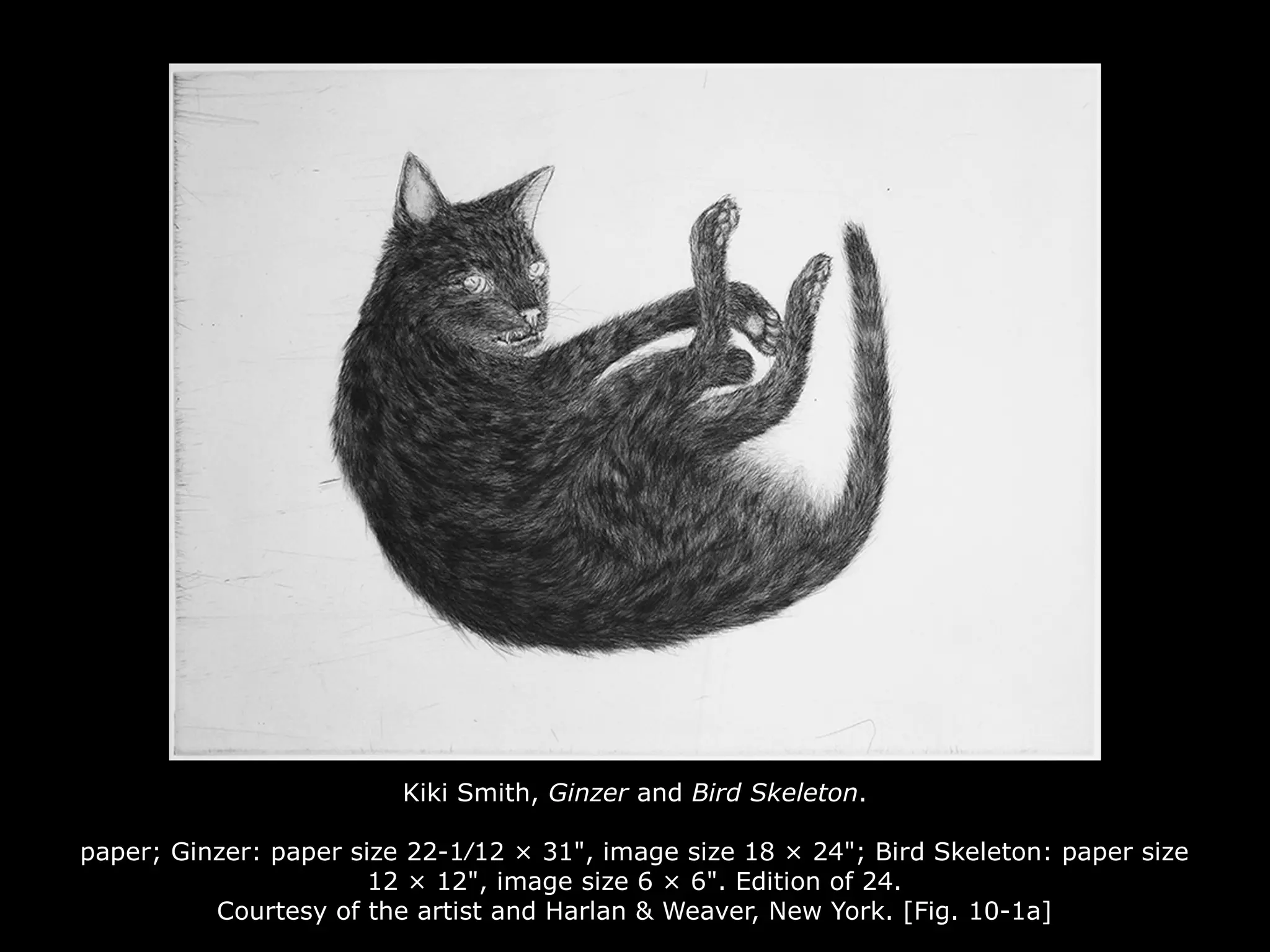 Kiki Smith, Ginzer and Bird Skeleton.
paper; Ginzer: paper size 22-1⁄12 × 31", image size 18 × 24"; Bird Skeleton: paper size
12 × 12", image size 6 × 6". Edition of 24.
Courtesy of the artist and Harlan & Weaver, New York. [Fig. 10-1a]
 