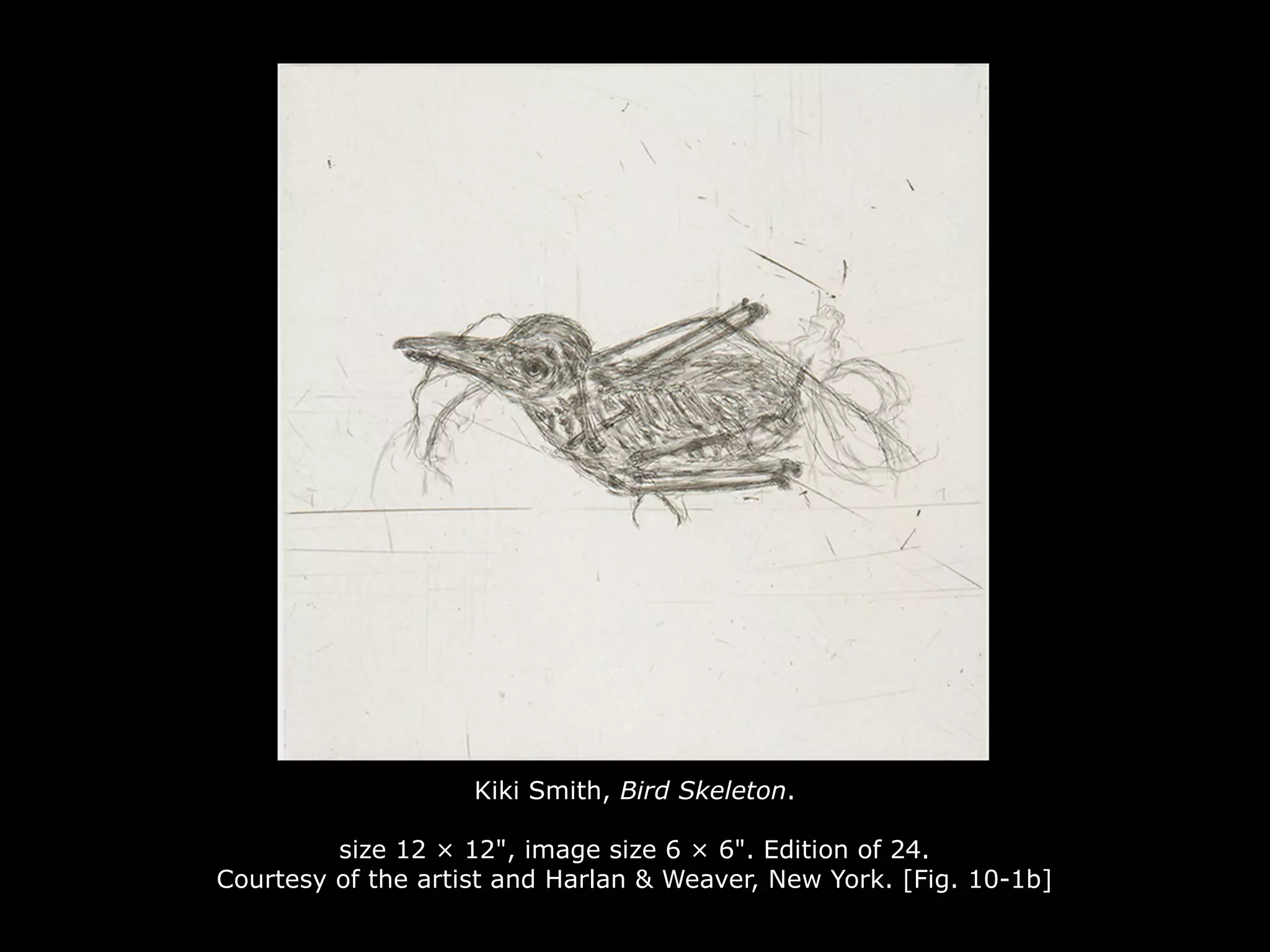 Kiki Smith, Bird Skeleton.
size 12 × 12", image size 6 × 6". Edition of 24.
Courtesy of the artist and Harlan & Weaver, New York. [Fig. 10-1b]
 