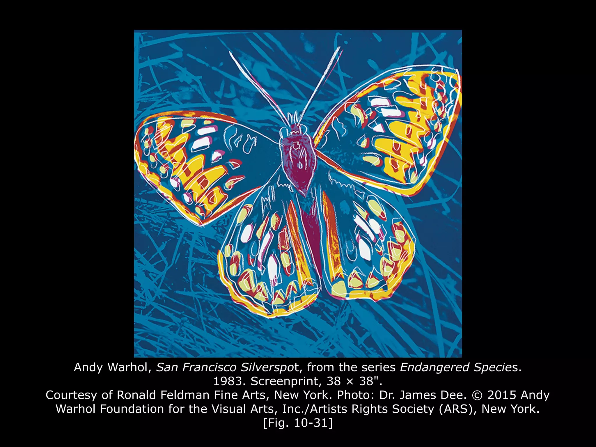 Andy Warhol, San Francisco Silverspot, from the series Endangered Species.
1983. Screenprint, 38 × 38".
Courtesy of Ronald Feldman Fine Arts, New York. Photo: Dr. James Dee. © 2015 Andy
Warhol Foundation for the Visual Arts, Inc./Artists Rights Society (ARS), New York.
[Fig. 10-31]
 