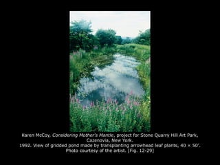 Karen McCoy, Considering Mother's Mantle, project for Stone Quarry Hill Art Park,
Cazenovia, New York.
1992. View of gridded pond made by transplanting arrowhead leaf plants, 40 × 50'.
Photo courtesy of the artist. [Fig. 12-29]
 