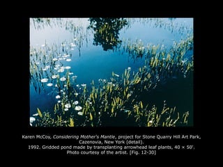 Karen McCoy, Considering Mother's Mantle, project for Stone Quarry Hill Art Park,
Cazenovia, New York (detail).
1992. Gridded pond made by transplanting arrowhead leaf plants, 40 × 50'.
Photo courtesy of the artist. [Fig. 12-30]
 
