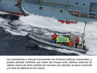 Los ecosistemas a menudo transcienden las fronteras políticas (nacionales), y
pueden plantear conflictos que nacen del choque entre distintos sistemas de
valores acerca de cómo explotar los recursos (por ejemplo, la pesca comercial
y la caza de ballenas en los mares).
 