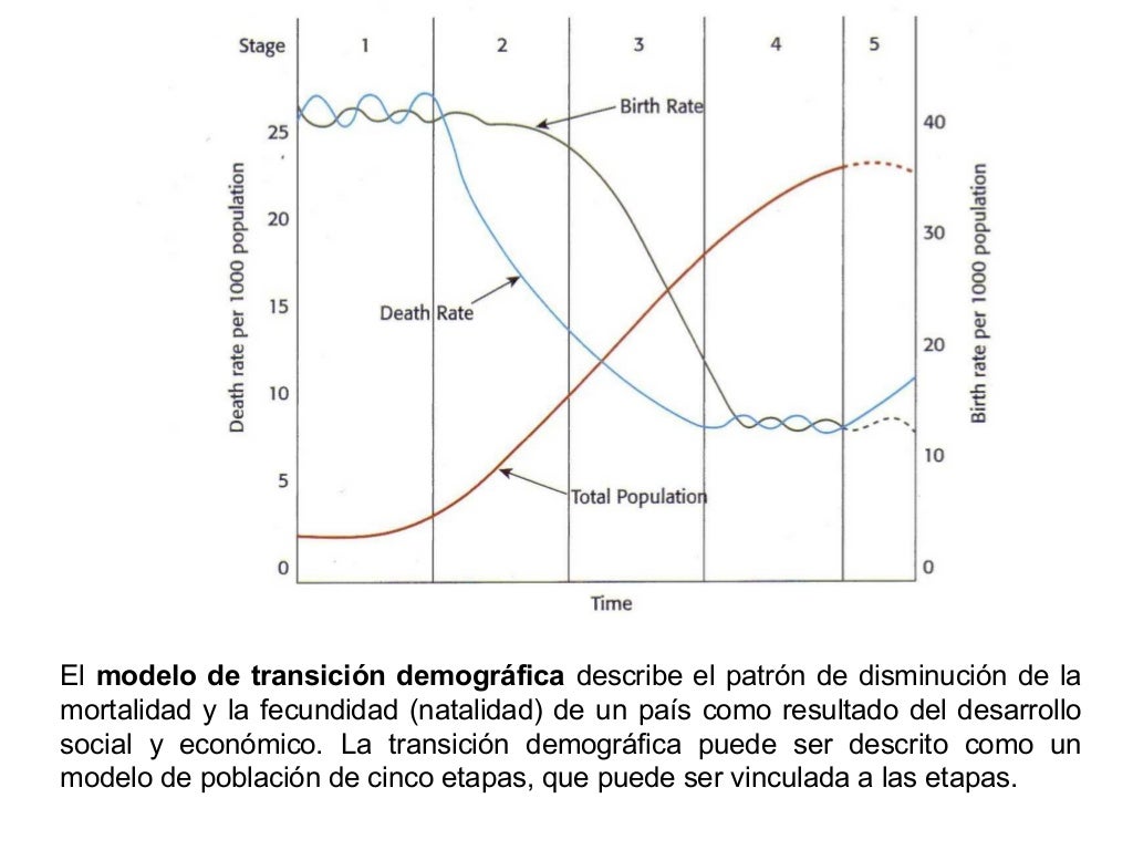 Dinámica de la población Dinámica de la población