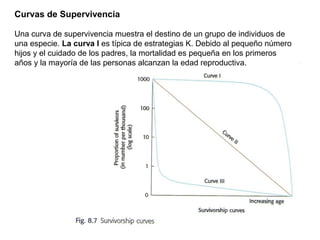 Curvas de Supervivencia
Una curva de supervivencia muestra el destino de un grupo de individuos de
una especie. La curva I es típica de estrategias K. Debido al pequeño número
hijos y el cuidado de los padres, la mortalidad es pequeña en los primeros
años y la mayoría de las personas alcanzan la edad reproductiva.
 