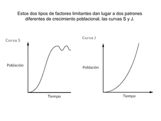 Estos dos tipos de factores limitantes dan lugar a dos patrones
diferentes de crecimiento poblacional, las curvas S y J.
 