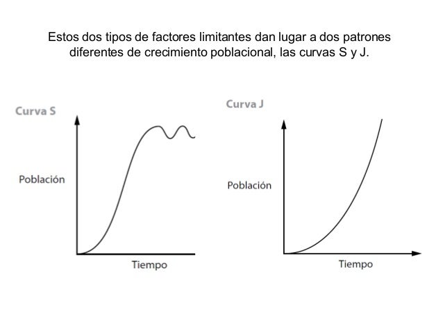 Población y Capacidad de Carga