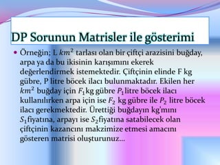 DP Sorunun Matrisler ile gösterimi

 