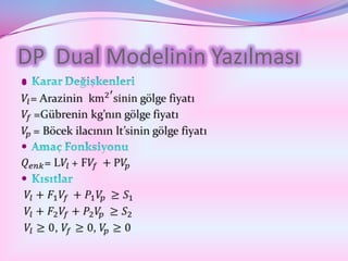 DP Dual Modelinin Yazılması

 