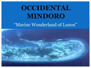 OCCIDENTAL
MINDORO
“Marine Wonderland of Luzon”
 