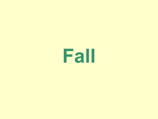 Fall
 