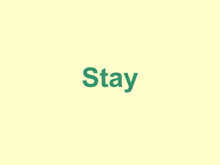 Stay
 