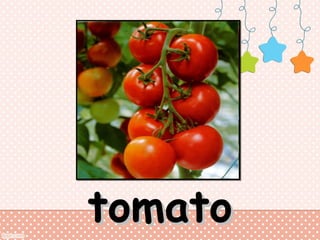 tomato

 