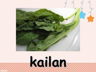 kailan

 