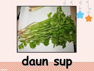 daun sup

 