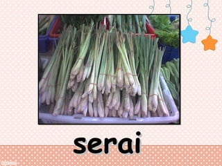 serai

 