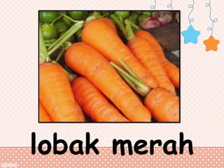 lobak merah

 