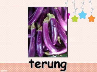 terung

 