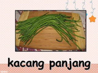 kacang panjang

 