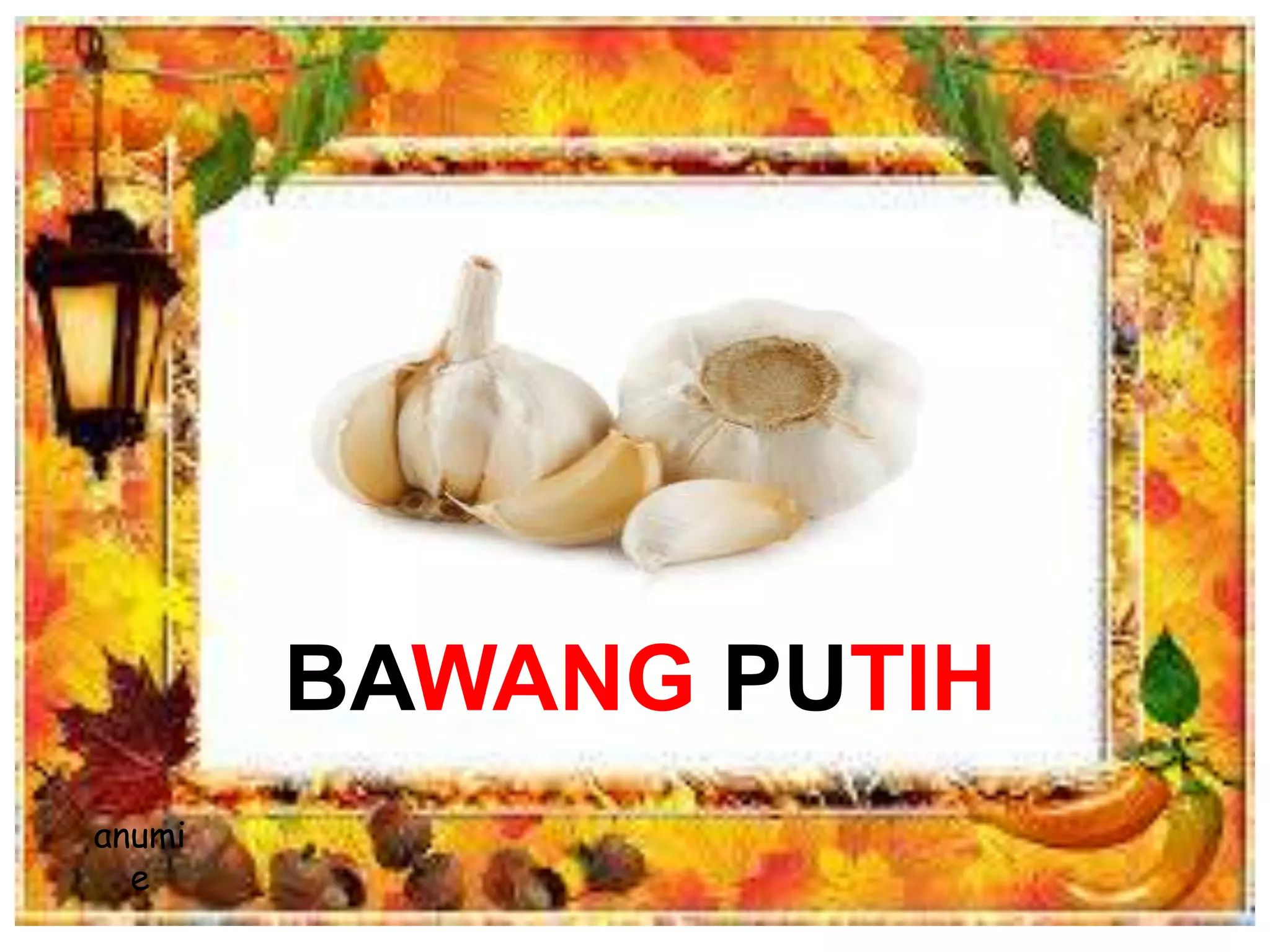 BAWANG PUTIH
anumi
e
 