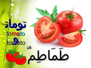 Tomato dalam bahasa arab