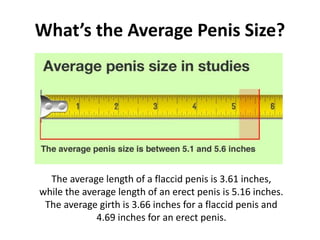 What’s the Average Penis Size?
The average length of a flaccid penis is 3.61 inches,
while the average length of an erect penis is 5.16 inches.
The average girth is 3.66 inches for a flaccid penis and
4.69 inches for an erect penis.
 