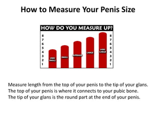 How to Measure Your Penis Size
Measure length from the top of your penis to the tip of your glans.
The top of your penis is where it connects to your pubic bone.
The tip of your glans is the round part at the end of your penis.
 