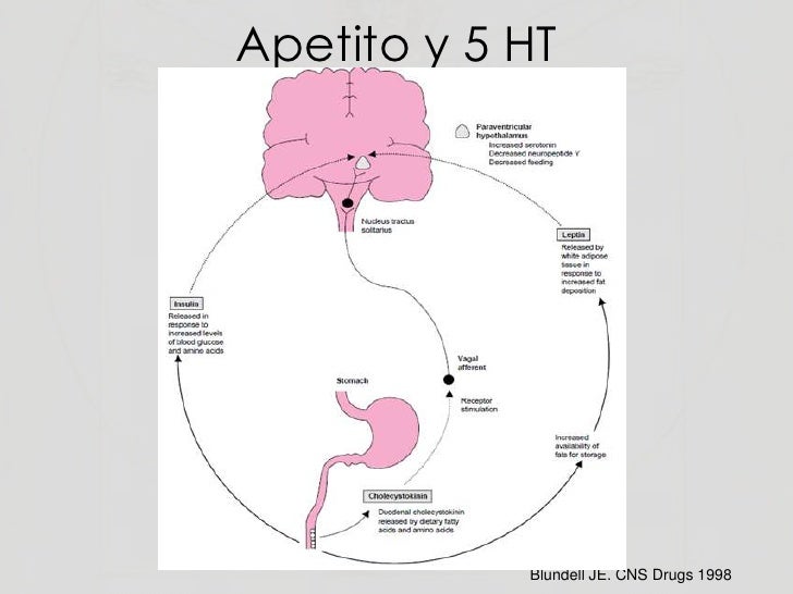 Long Term Use Of Zoloft Health