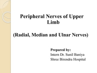 Peripheral Nerves of Upper
Limb
(Radial, Median and Ulnar Nerves)
Prepared by:
Intern Dr. Sunil Baniya
Shree Birendra Hospital
 