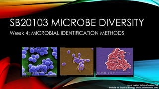 SB20103 MICROBE DIVERSITY
Week 4: MICROBIAL IDENTIFICATION METHODS
Jaya Seelan Sathiya Seelan PhD
Institute for Tropical Biology and Conservation, UMS
 