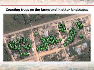 Measuring Carbon in Complex Landscapes with Trees - ICRAF and ASB at UNFCCC SB32