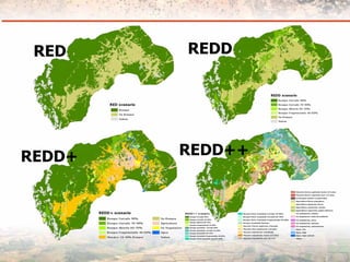 Measuring Carbon in Complex Landscapes with Trees - ICRAF and ASB at UNFCCC SB32
