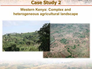 Measuring Carbon in Complex Landscapes with Trees - ICRAF and ASB at UNFCCC SB32