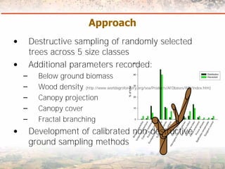 Measuring Carbon in Complex Landscapes with Trees - ICRAF and ASB at UNFCCC SB32