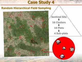 Measuring Carbon in Complex Landscapes with Trees - ICRAF and ASB at UNFCCC SB32