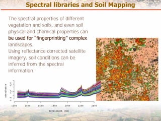 Measuring Carbon in Complex Landscapes with Trees - ICRAF and ASB at UNFCCC SB32