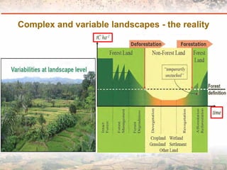 Measuring Carbon in Complex Landscapes with Trees - ICRAF and ASB at UNFCCC SB32