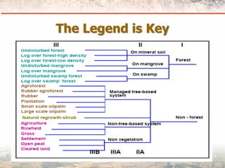 Measuring Carbon in Complex Landscapes with Trees - ICRAF and ASB at UNFCCC SB32
