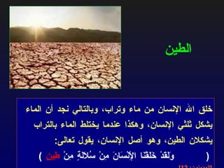 خلق الله الإنسان من ماء وتراب، وبالتالي نجد أن الماء يشكل ثلثي الإنسان، وهكذا عندما يختلط الماء بالتراب يشكلان الطين، وهو أصل الإنسان، يقول تعالى : ( وَلَقَدْ خَلَقْنَا الْإِنْسَانَ مِنْ سُلَالَةٍ مِنْ  طِينٍ   )   [ المؤمنون : 12]. الطين 