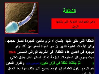 النطفة التي خُلق منها الإنسان لا تُرى بالعين المجردة لصغر حجمها، ولكن الأبحاث الطبية تُظهر أن سر الحياة أصغر من ذلك وهو موجود في أعماق هذه النطفة، في الشريط الوراثي المسمى  DNA   حيث يحوي كل المعلومات اللازمة لخلق إنسان عاقل .  يقول تعالى :   ( ثُمَّ جَعَلْنَاهُ نُطْفَةً فِي قَرَارٍ مَكِينٍ )   [ المؤمنون : 13] ،  والقرار المكين هو الرحم، يقول العلماء إن الرحم يصبح أكبر بألف مرة بعد الحمل مباشرة !!   النطفة وهي الحيوانات المنوية التي ينتجها الرجل sperm 