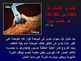 أَوَلَمْ يَرَ الإِنْسَانُ أَنَّا خَلَقْنَاهُ مِنْ نُطْفَةٍ فَإِذَا هُوَ خَصِيمٌ مُبِينٌ   بعد دخول أول حيوان منوي إلى البويضة تفرز هذه البويضة على الفور مادة تؤدي إلى انغلاق غلاف البويضة أمام بقية النطاف، وبعد التزاوج تفرز الخلية الملقحة هرمون  hCG   وهو ما يتحسسه كاشف الحمل، هذا الهرمون يعطي تعليمة للجسم ليوقف الدورة الشهرية ويعطي مؤشرات للمرأة على بداية الحمل . نطفة بويضة [ يس : 77] 