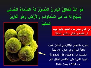 صورة بالمجهر الإلكتروني لجنين عمره ثلاثة أيام !!  وهو عبارة عن خلية انقسمت إلى  8  خلايا، هذه المجموعة لديها القدرة على الانقسام لتشكل أكثر من  100  تريليون خلية ! هُوَ اللَّهُ الْخَالِقُ الْبَارِئُ الْمُصَوِّرُ لَهُ الْأَسْمَاءُ الْحُسْنَى يُسَبِّحُ لَهُ مَا فِي السَّمَاوَاتِ وَالْأَرْضِ وَهُوَ الْعَزِيزُ الْحَكِيمُ   مَن الذي يخبر هذه الخلية بأنها يجب أن تنقسم وتتكاثر وتشكل إنساناً؟ 