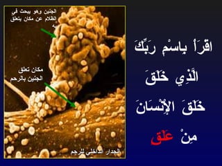 اقْرَأْ بِاسْمِ رَبِّكَ  الَّذِي خَلَقَ  خَلَقَ الْإِنْسَانَ  مِنْ  عَلَقٍ الجدار الداخلي للرحم   الجنين وهو يبحث في الظلام عن مكان يتعلق به مكان تعلق الجنين بالرحم 