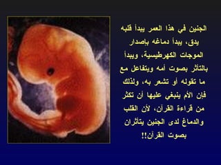 الجنين في هذا العمر يبدأ قلبه يدق،  يبدأ دماغه بإصدار الموجات الكهرطيسية،  ويبدأ بالتأثر بصوت أمه ويتفاعل مع ما تقوله أو تشعر به، ولذلك فإن الأم ينبغي عليها أن تكثر من قراءة القرآن، لأن القلب والدماغ لدى الجنين يتأثران بصوت القرآن !! 
